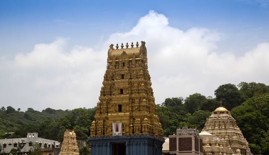 Andhra Pradesh Packers and Movers