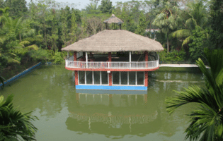 South 24 Parganas Packers and Movers