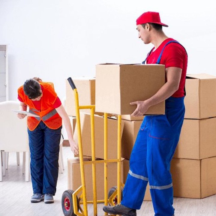 8 Mistakes to Avoid While Booking Movers in Siliguri
